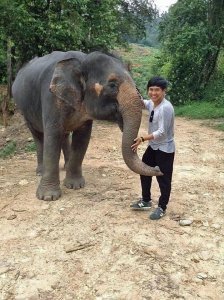 How It All Began - Southern Thailand Elephant Foundation
