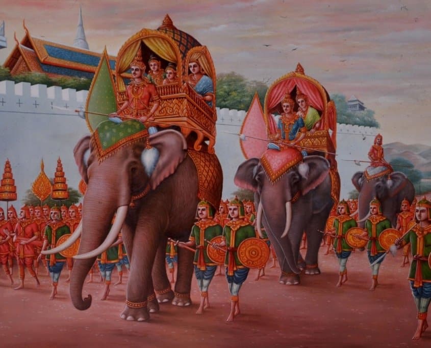 Thailand elephants