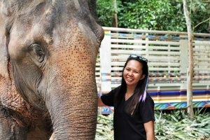 elephant veterinary clinic