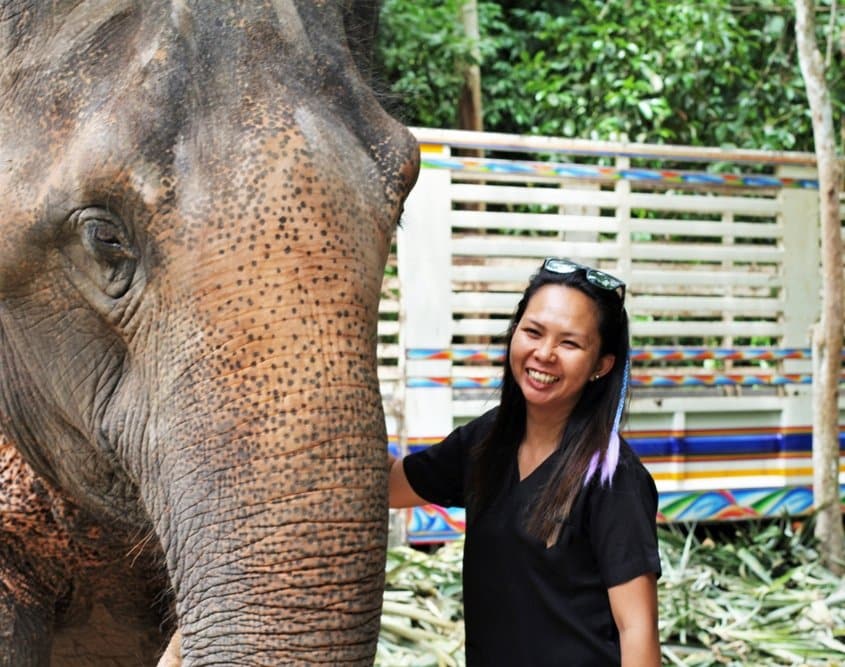 elephant veterinary clinic