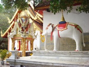 Elephants in Buddhism