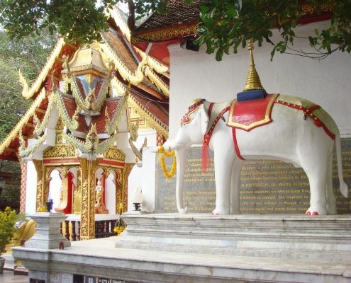 Elephants in Buddhism