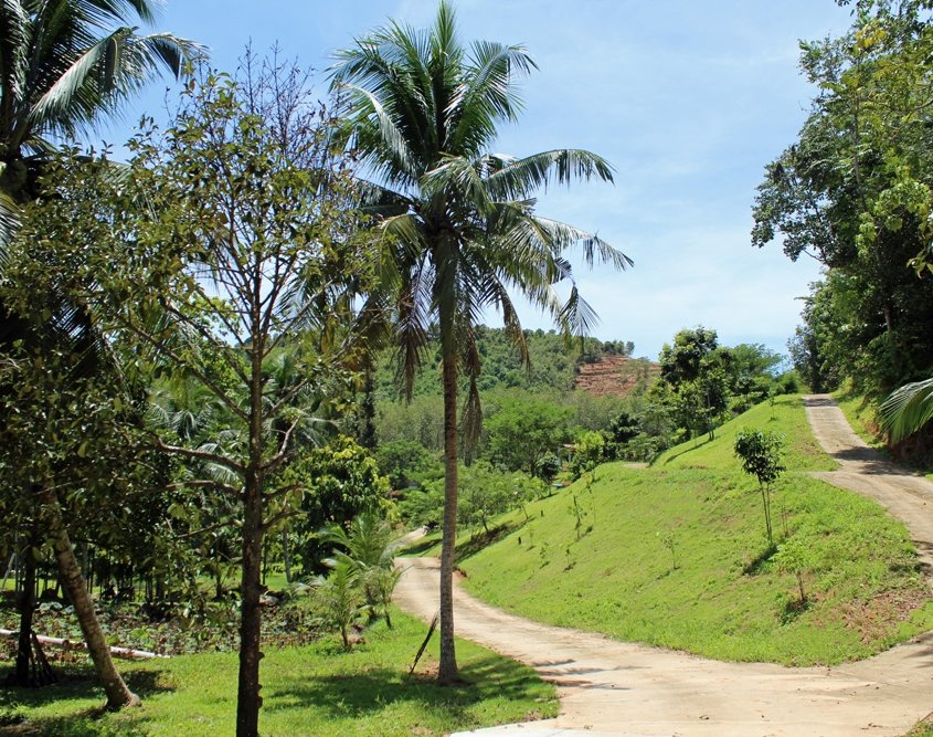 road damage