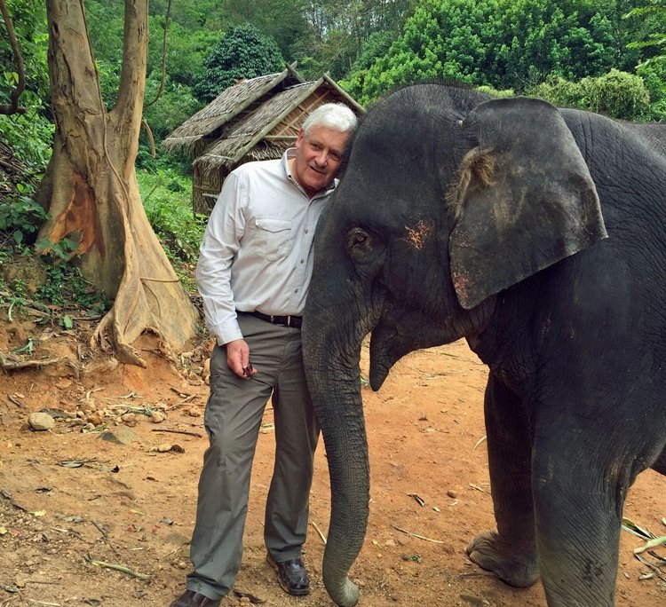 Saving Thailand's elephants