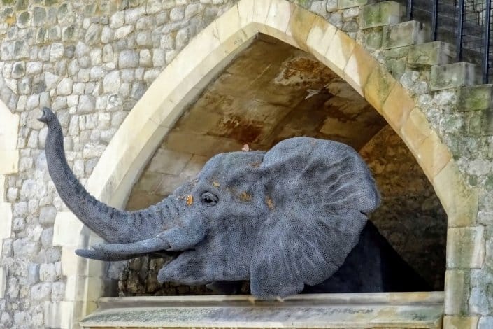 Elephant at the Tower