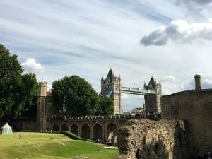 elephant in the tower