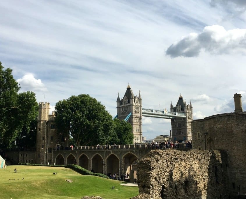 elephant in the tower