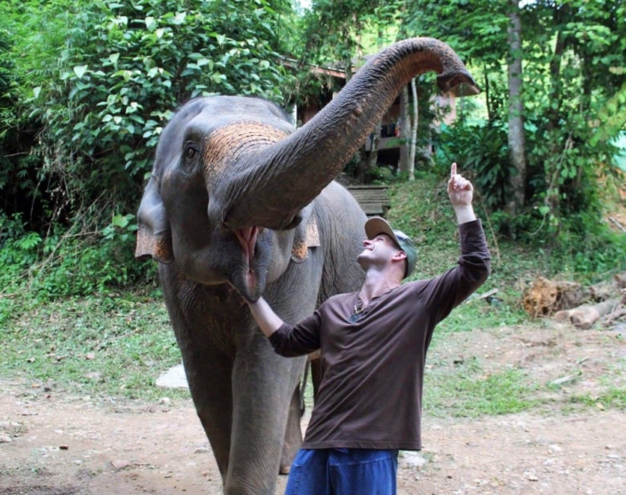 suction eating by elephants