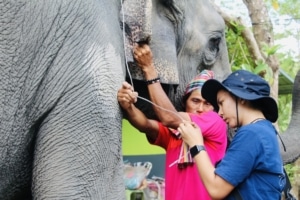 volunteer programme