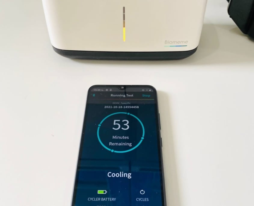 first qPCR