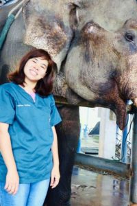 elephant welfare