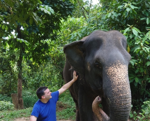 Trustee Brian with Choosri a 62 year old female elephant