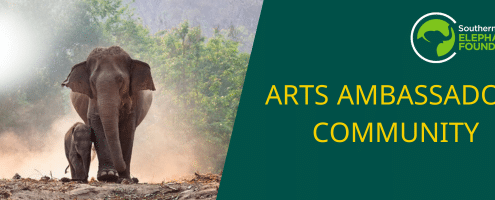 ARTS AMBASSADOR SCHEME
